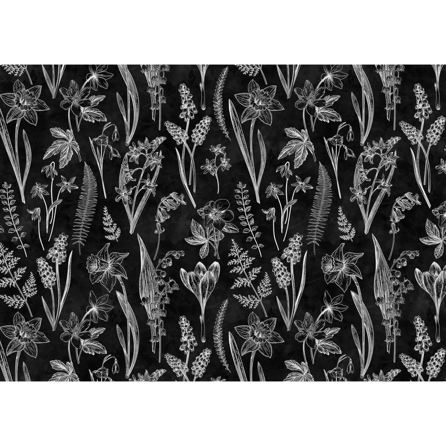 Fototapete Vlies Blumen Floral Tafel schwarz Premium
