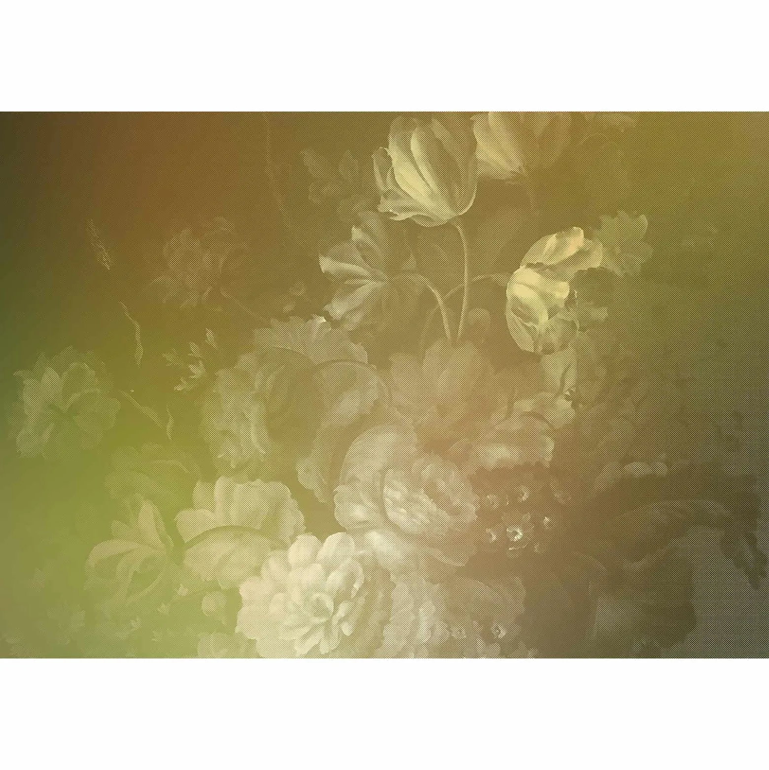 Fototapete Vlies Blumen Floral Kariert gelb Premium
