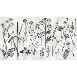 Fototapete Vlies Blumen Kräuter grau schwarz Premium