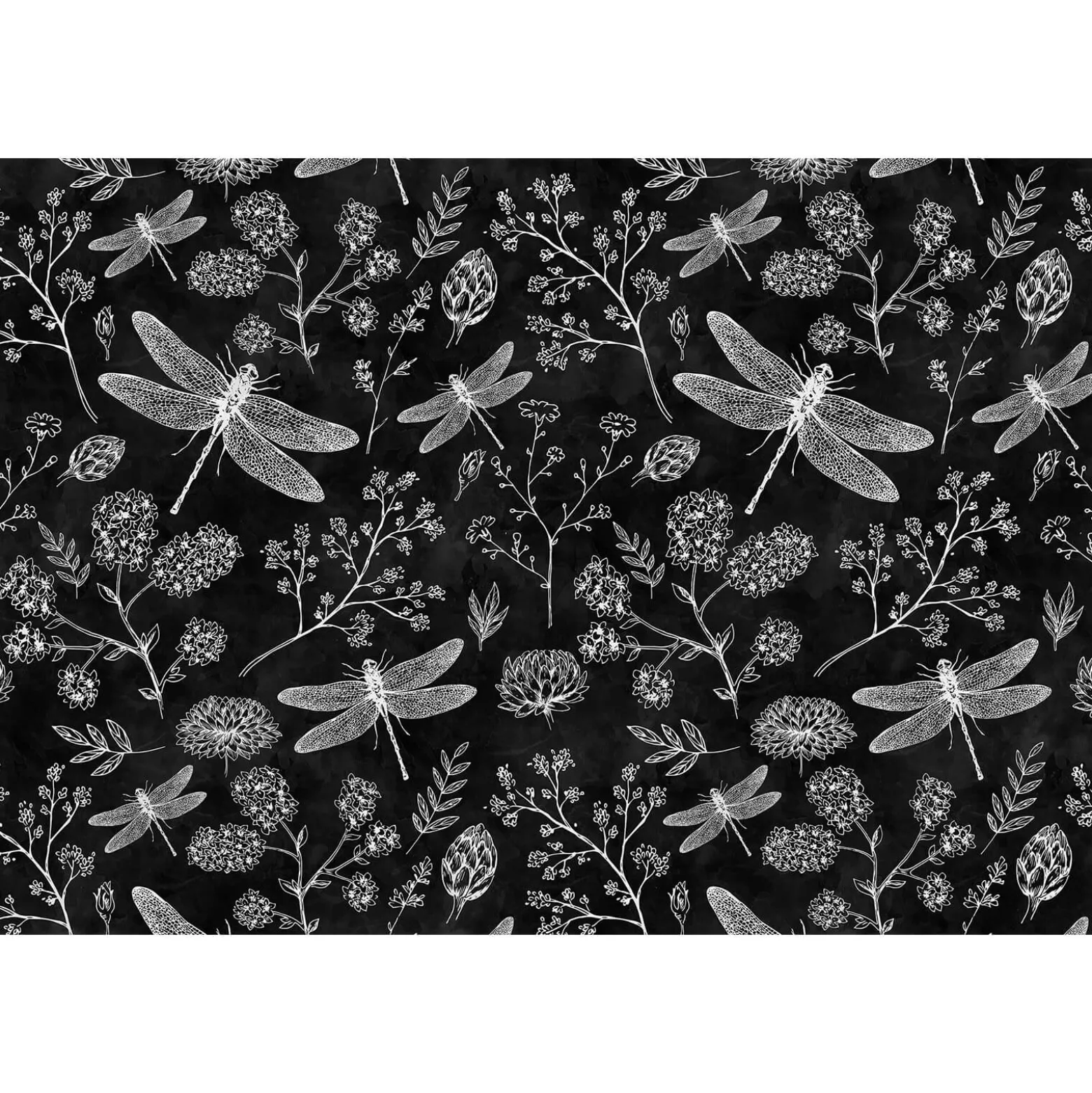 Fototapete Vlies Blumen Libellen Tafel schwarz Premium