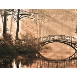 Fototapete Vlies Brücke Wald Fluss braun grün schwarz