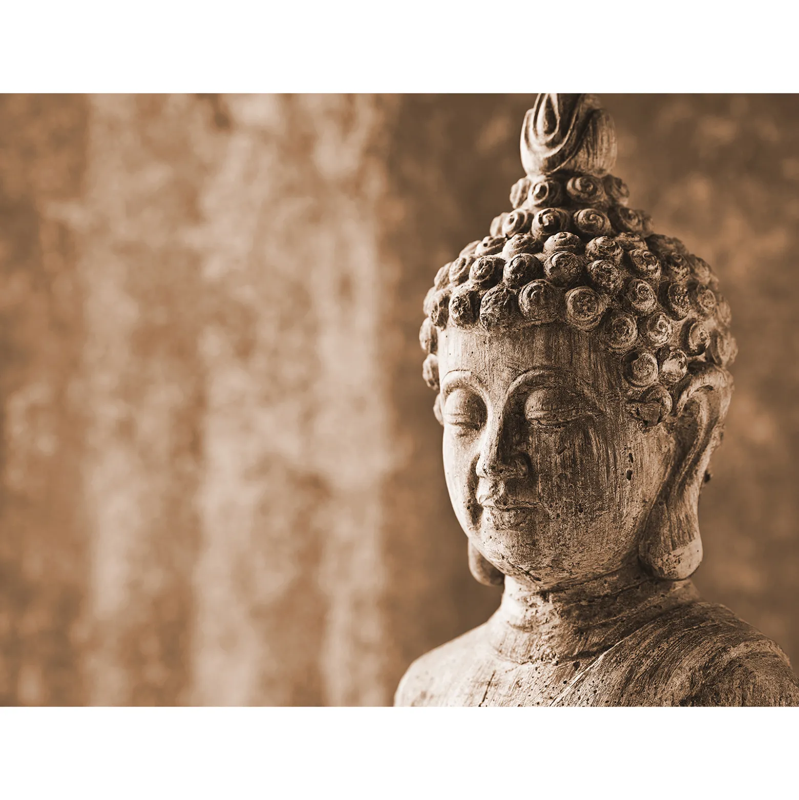 Fototapete Vlies Buddha Asia Skulptur braun Designwalls