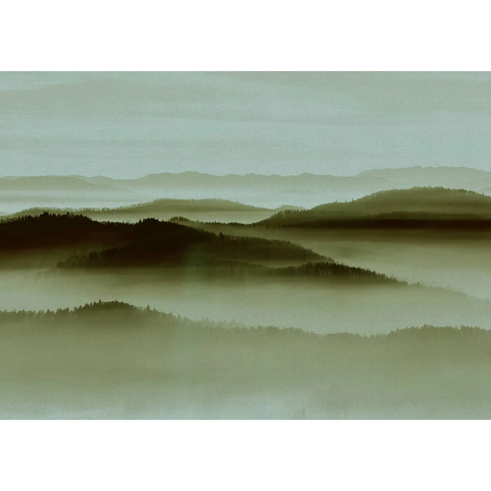 Fototapete Vlies Bäume Nebel Wald beige grün Premium