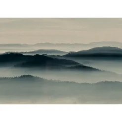 Fototapete Vlies Bäume Nebel Wald beige blau Premium