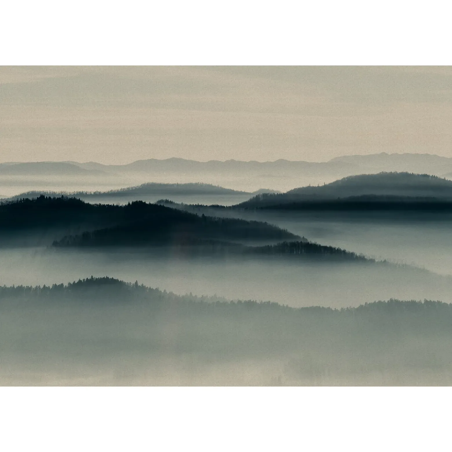 Fototapete Vlies Bäume Nebel Wald beige blau Premium