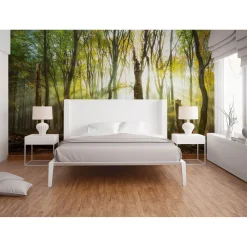 Fototapete Vlies Bäume Waldlichtung braun gelb