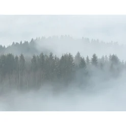 Fototapete Vlies Bäume Wald Nebel grau grün Designwalls