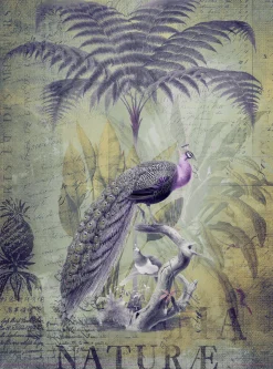Fototapete Vlies Dschungel Pfau grün lila