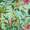 Fototapete Vlies Dschungel Vögel bunt grün