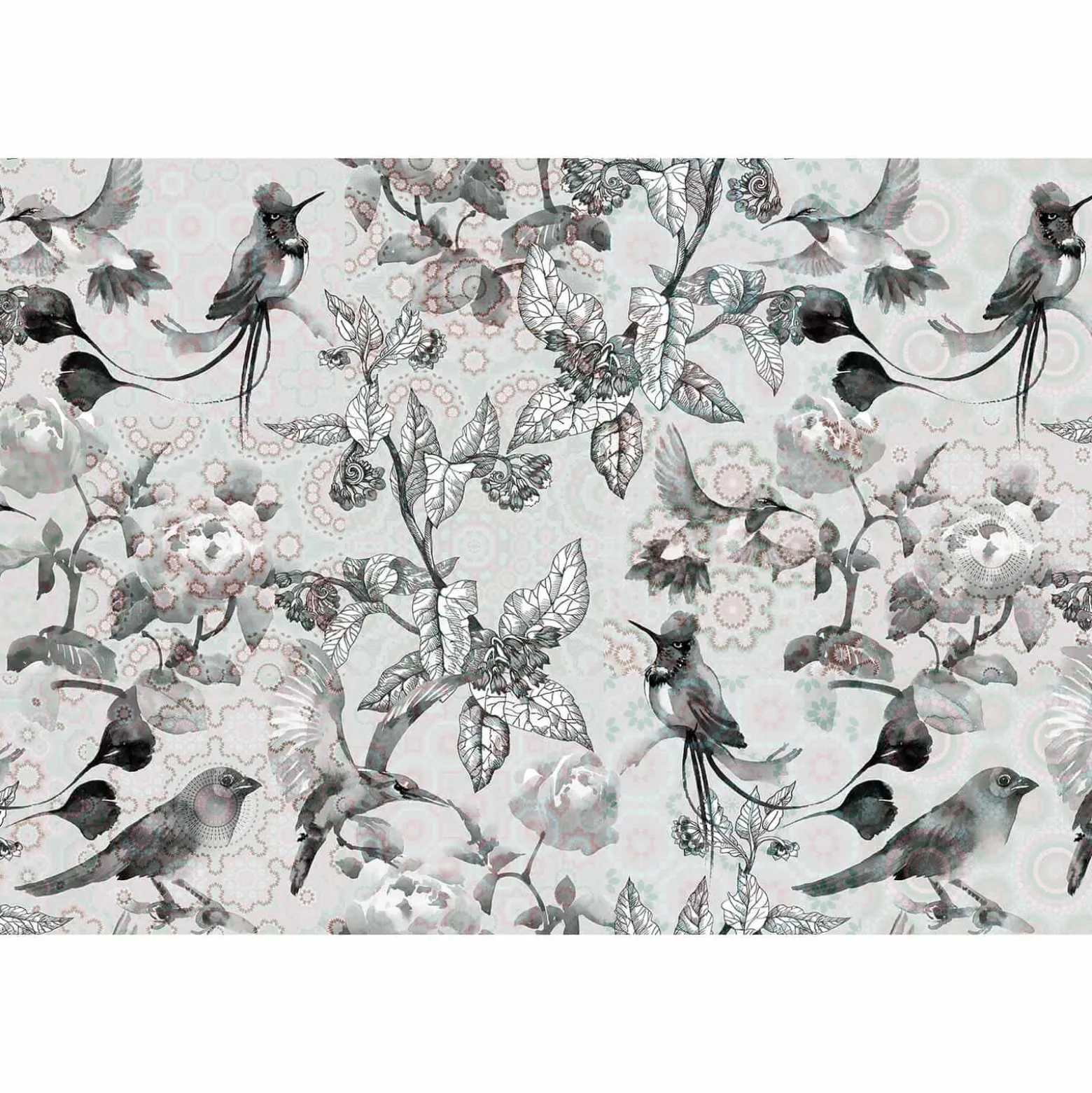Fototapete Vlies Exotisch Vögel creme grau Premium