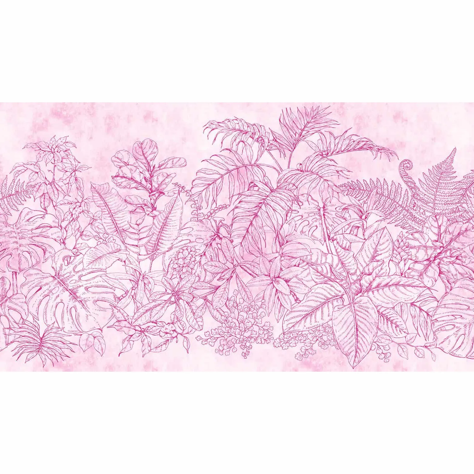 Fototapete Vlies Farn Blätter Floral rosa Premium