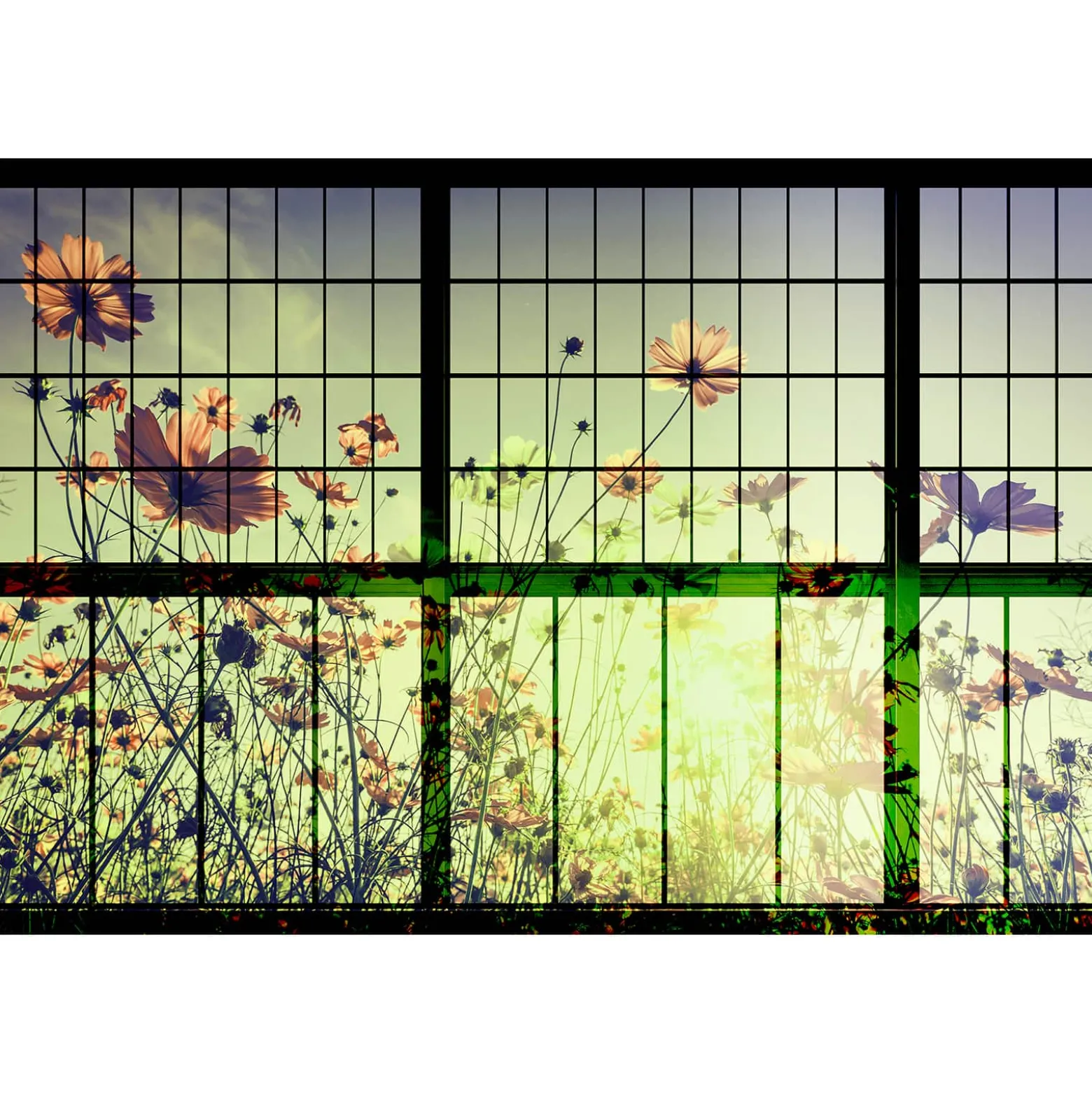 Fototapete Vlies Fenster Blumen grün schwarz Premium