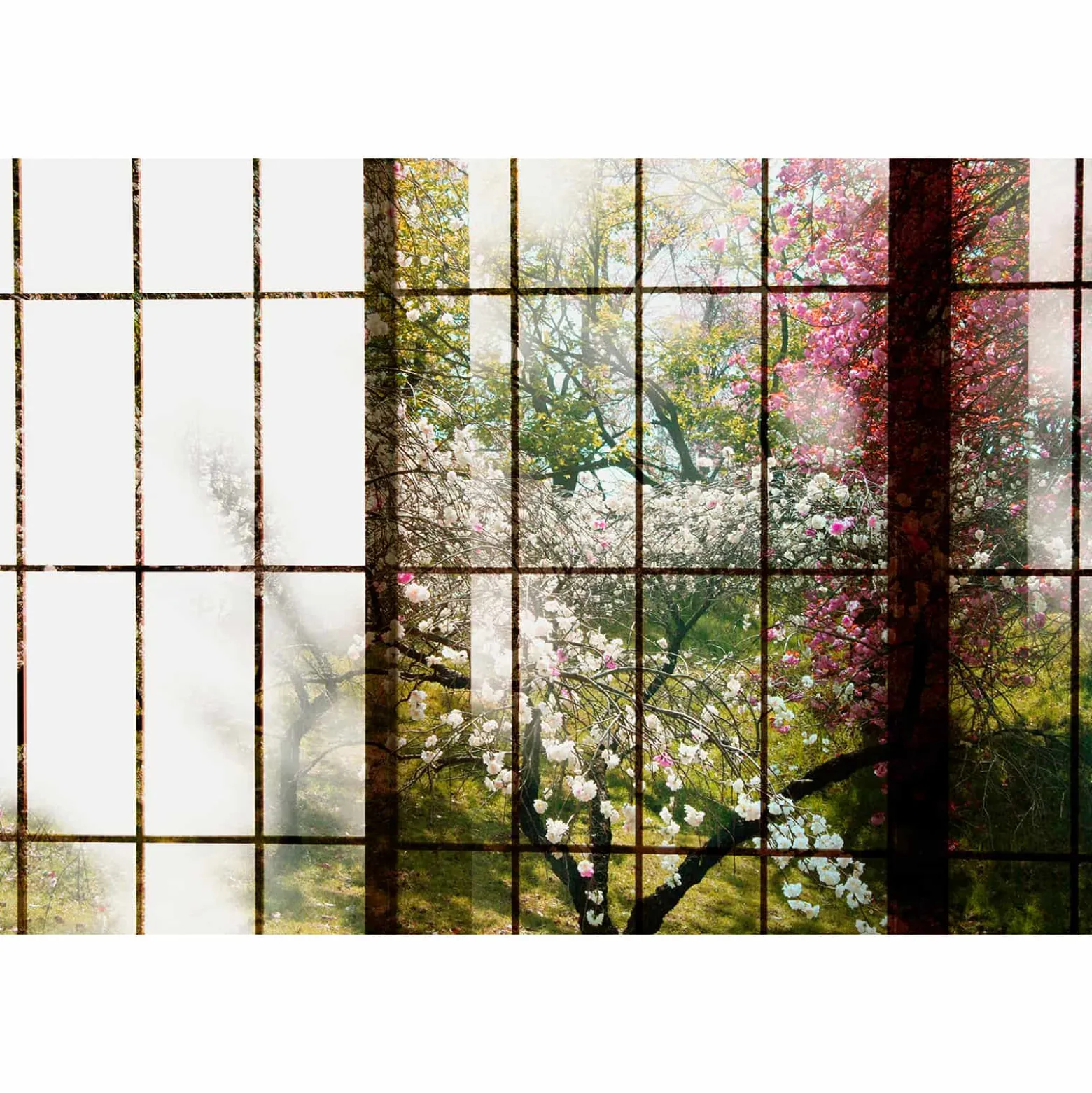 Fototapete Vlies Fenster Kirschbäume grün rosa Premium