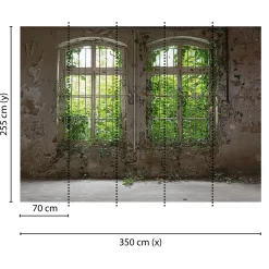 Fototapete Vlies Fenster Putz Mauer grau grün