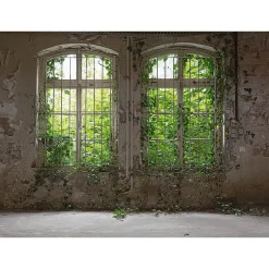 Fototapete Vlies Fenster Putz Mauer grau grün