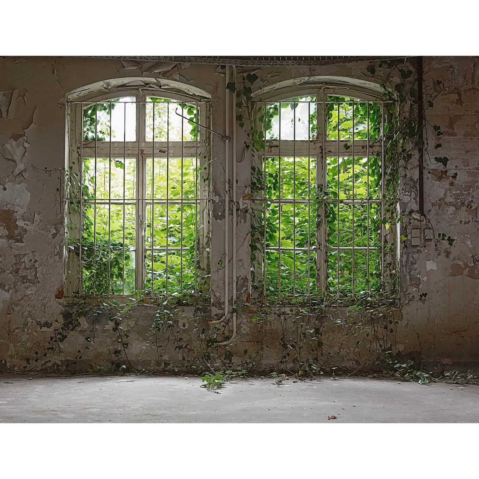 Fototapete Vlies Fenster Putz Mauer grau grün