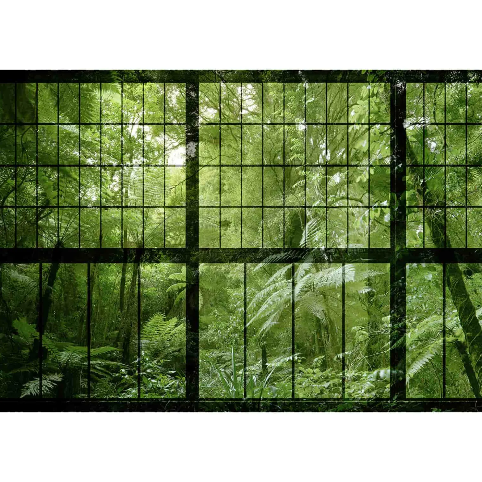 Fototapete Vlies Fenster Regenwald grün Premium