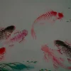 Fototapete Vlies Fische Kois Teich rot grün Premium