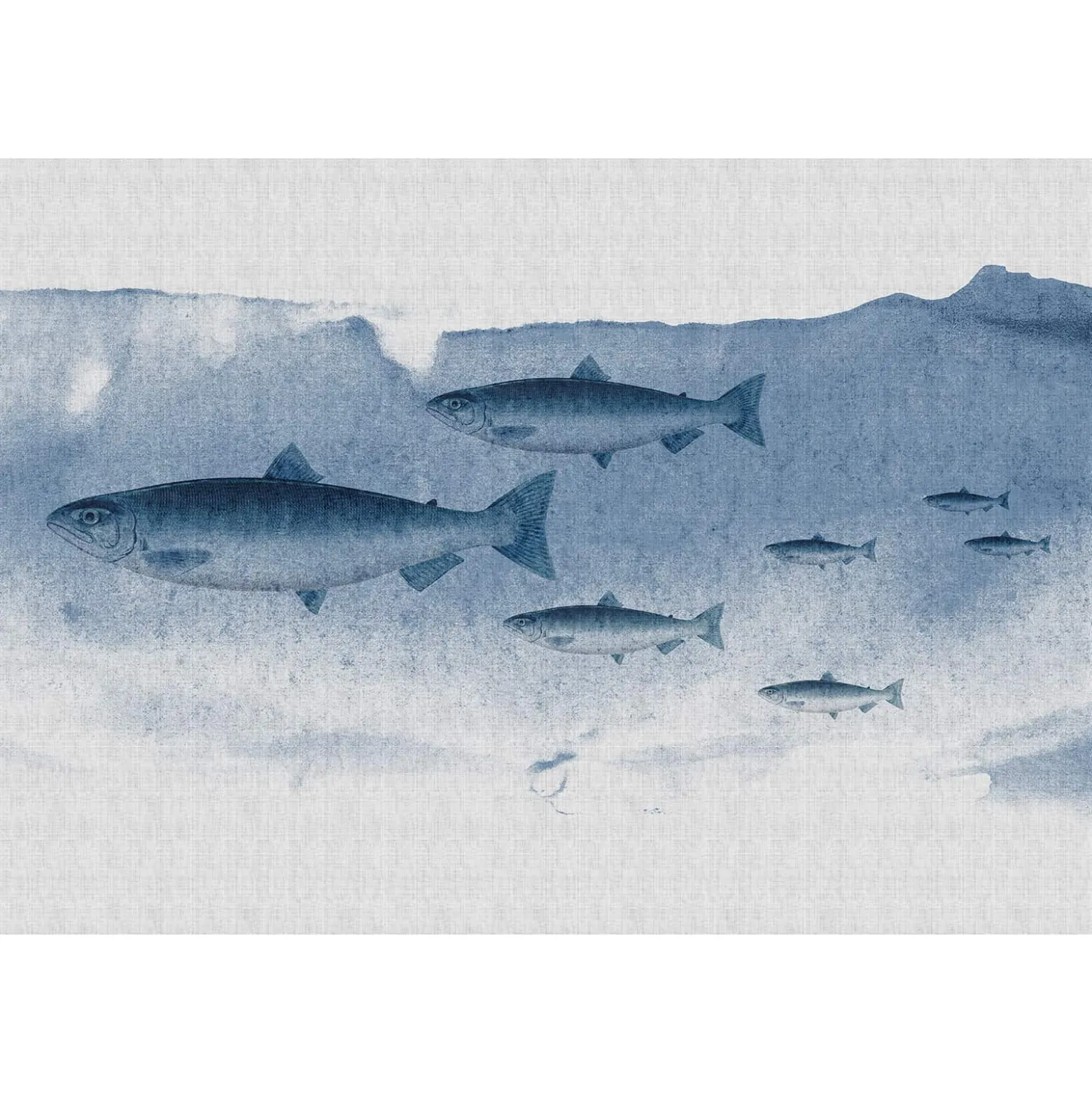 Fototapete Vlies Fische Meer Wasser blau grau Premium