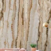 Fototapete Vlies Grandeco Beige Weiß Quarz A50801