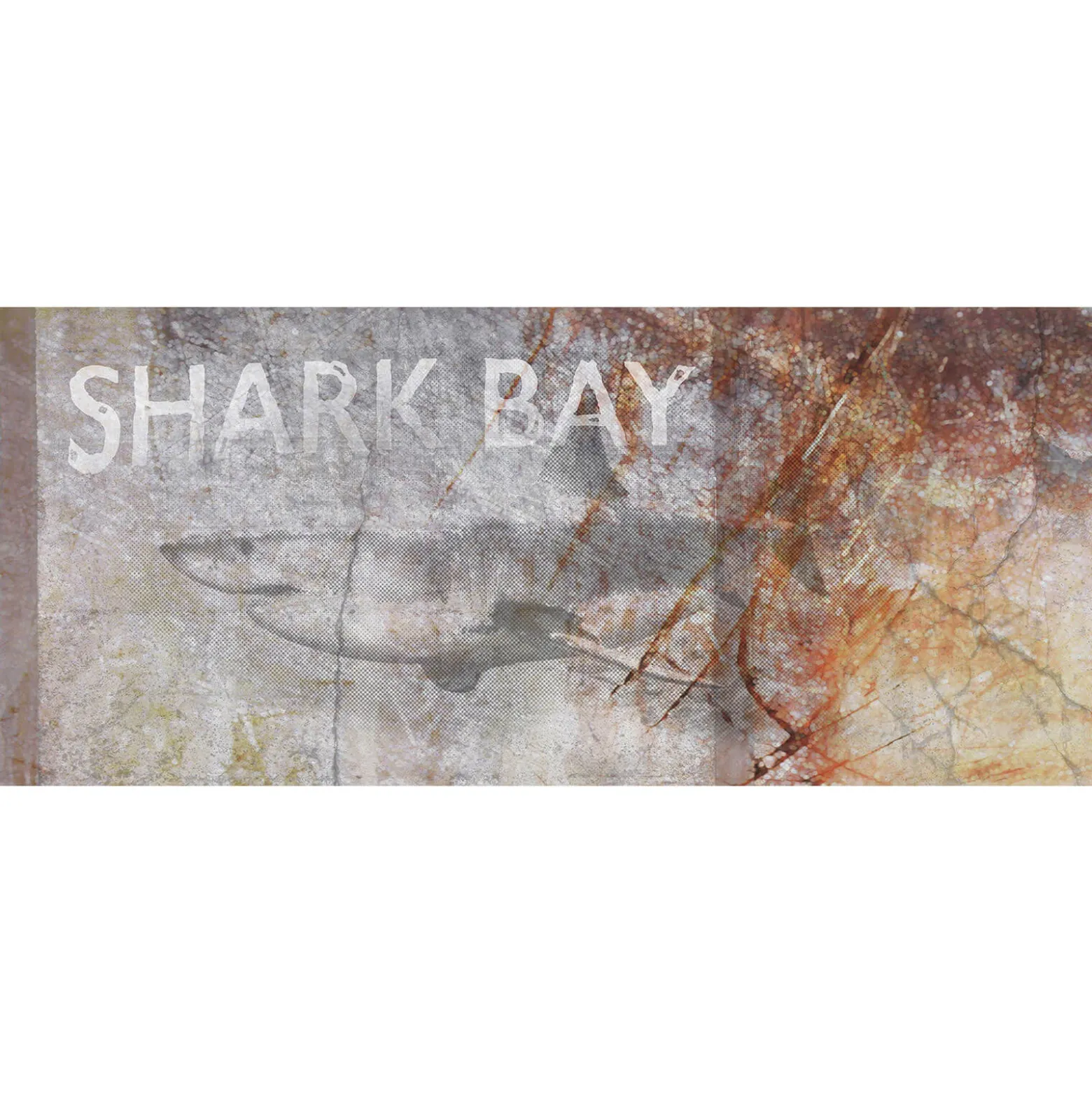 Fototapete Vlies Hai Schild Shark Bay grau