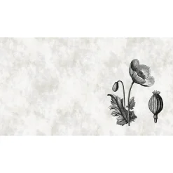 Fototapete Vlies Hibiskus Natur Blume grau Premium