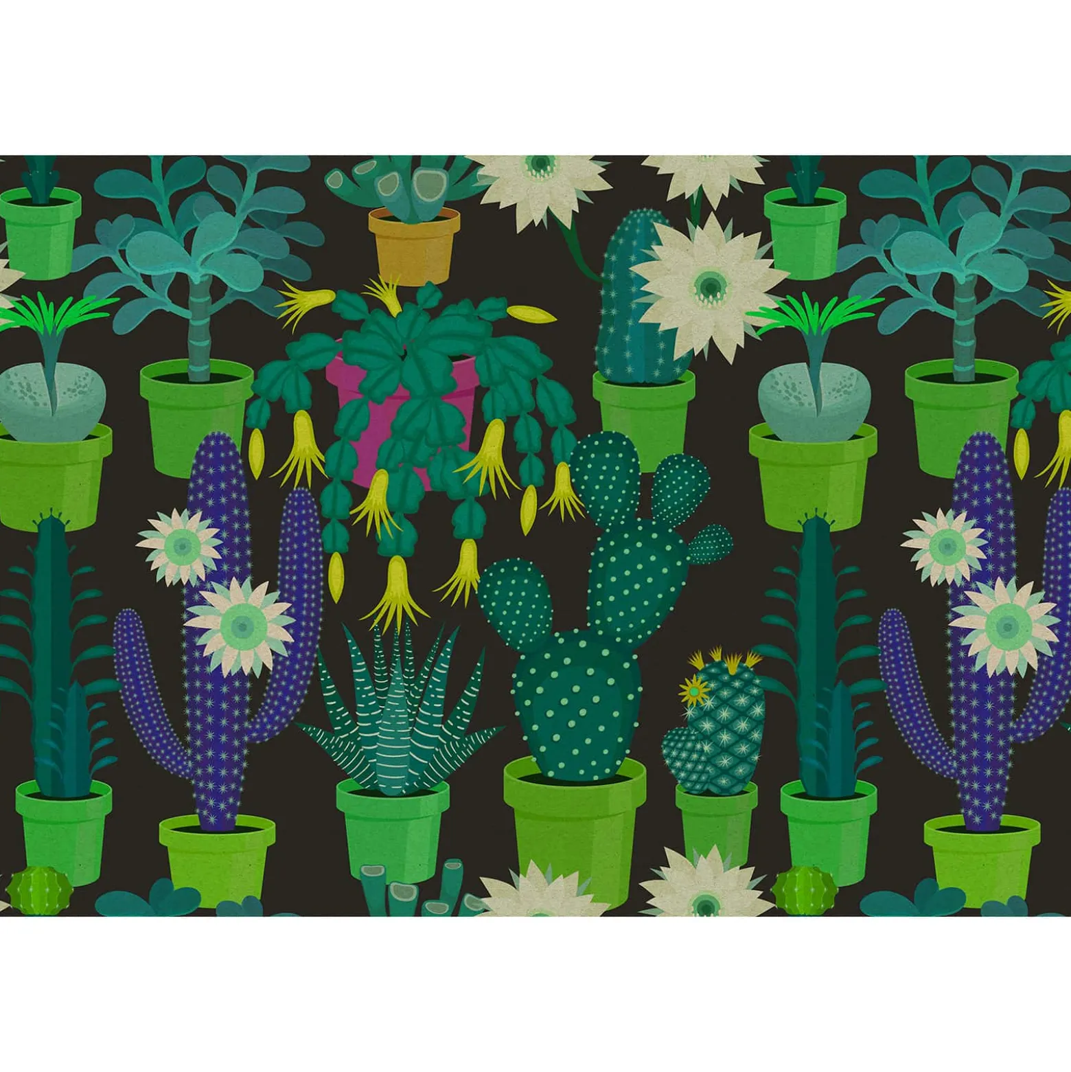 Fototapete Vlies Kakteen Floral grün schwarz Premium