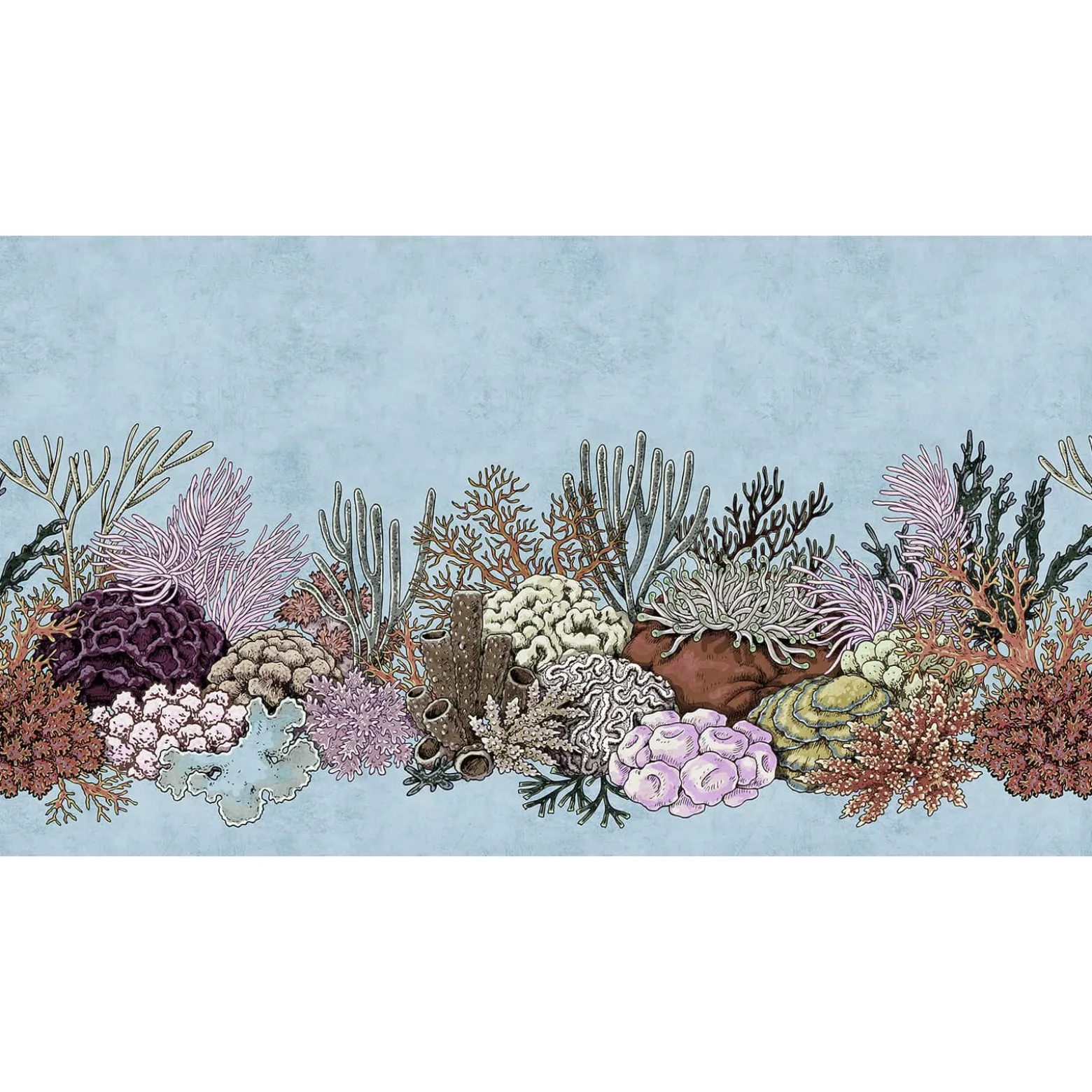 Fototapete Vlies Korallen Meer blau rosa Premium