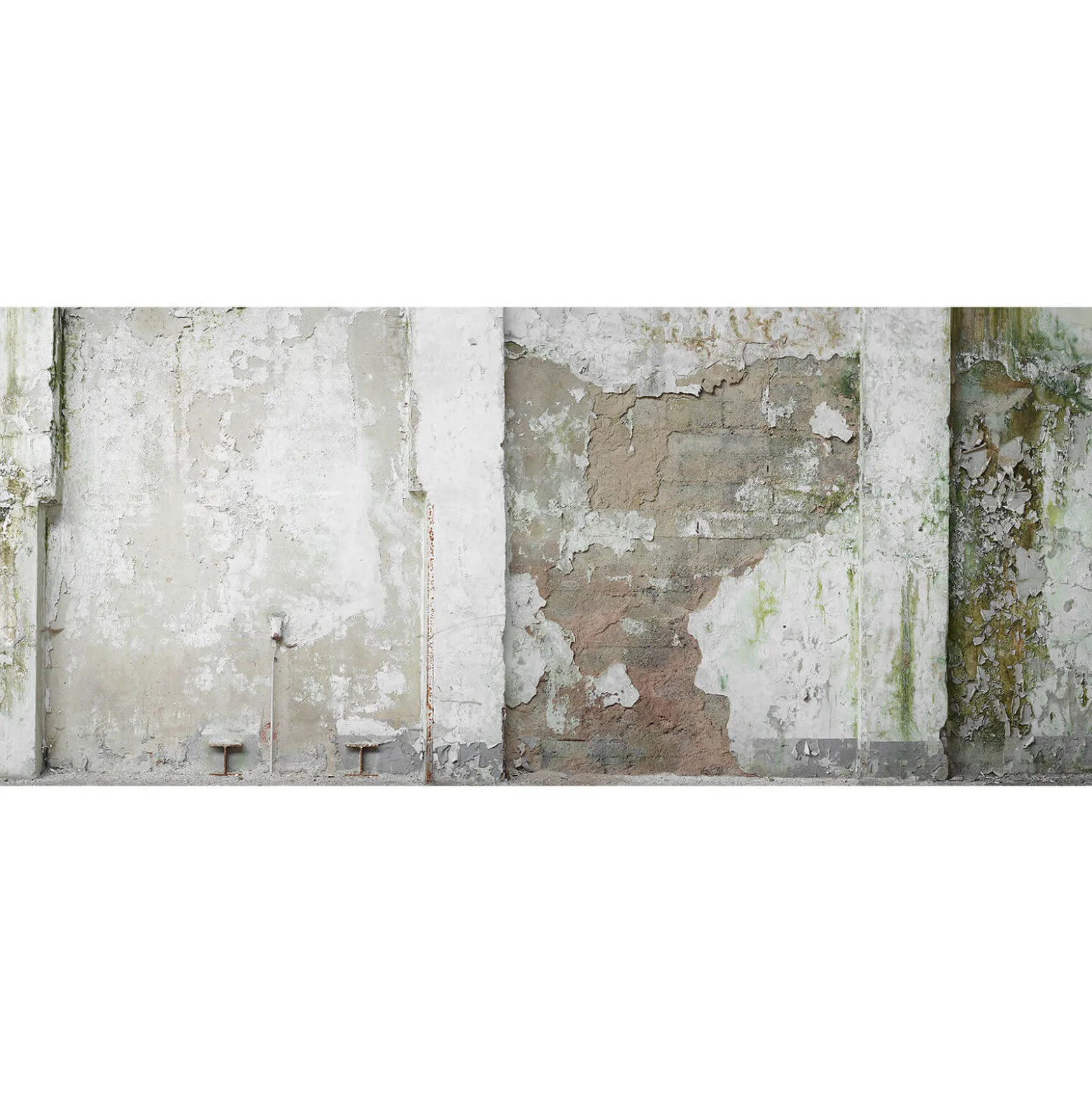Fototapete Vlies Mauer Putz Shabby grau grün