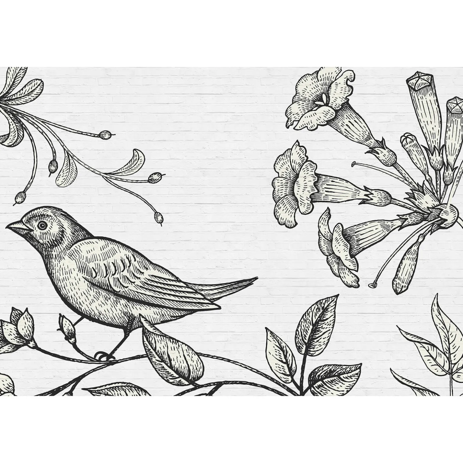 Fototapete Vlies Mauer Stein Vogel Blumen grau Premium