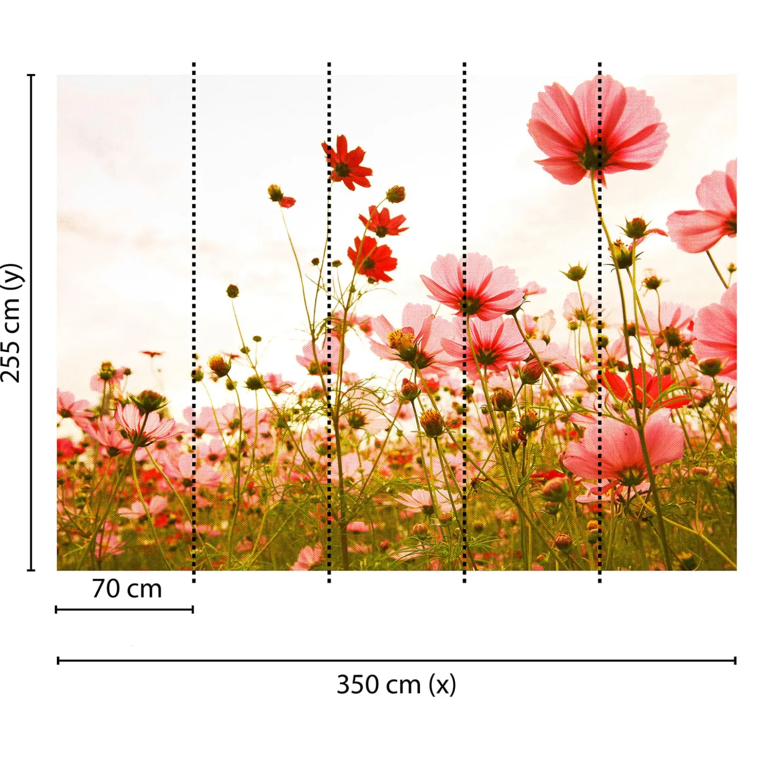 Fototapete Vlies Mohnblumen Floral rosa rot grün