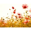 Fototapete Vlies Mohnblumen Floral rot grün weiß