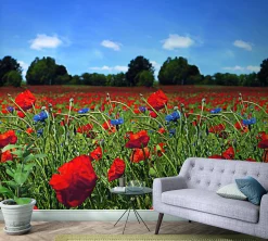 Fototapete Vlies Mohnblumen Wiese rot grün blau 47273