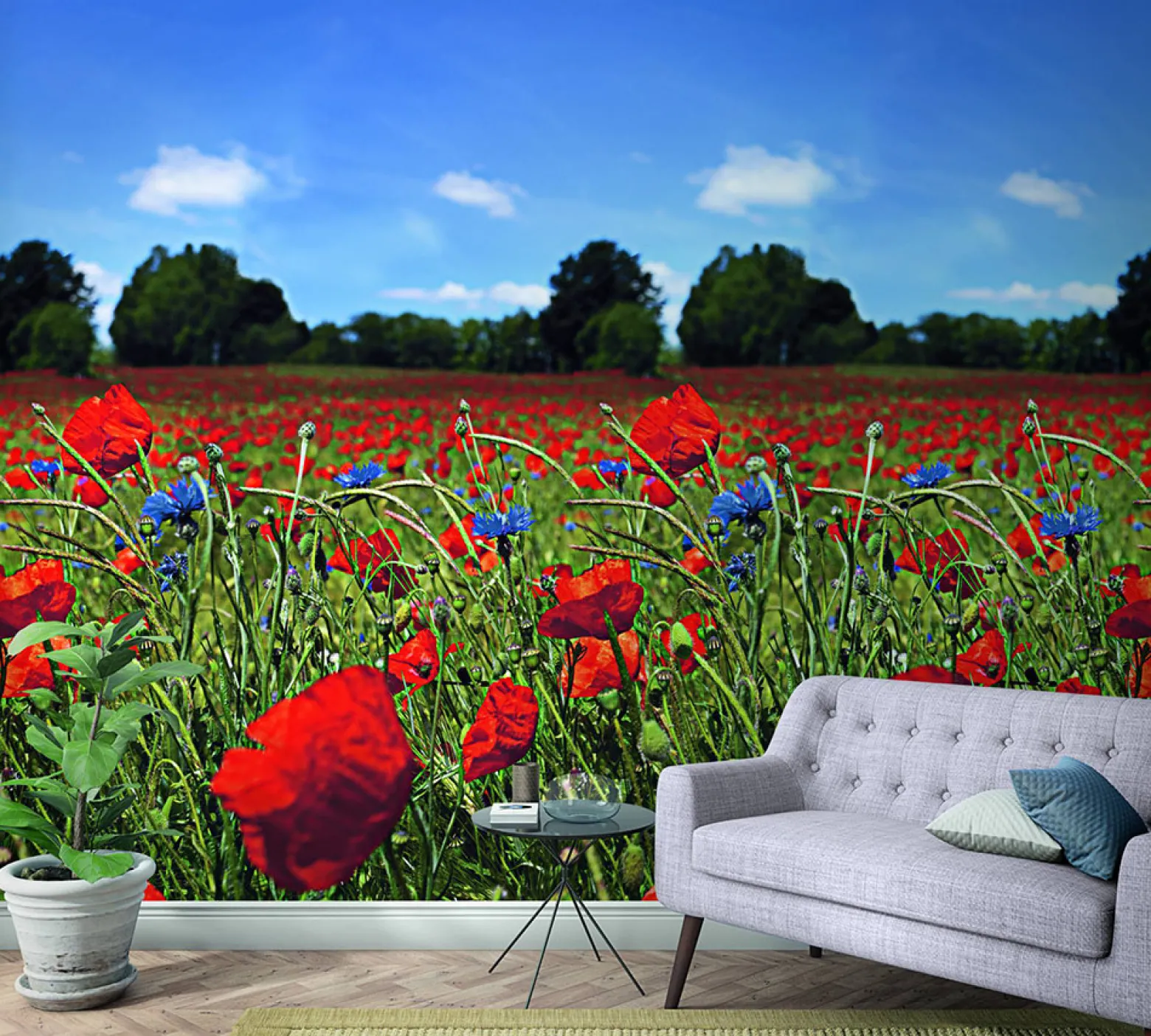 Fototapete Vlies Mohnblumen Wiese rot grün blau 47273