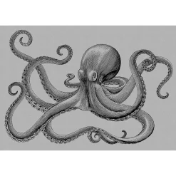 Fototapete Vlies Oktopus Tintenfisch grau Premium