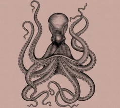Fototapete Vlies Oktopus Tintenfisch rosa Premium