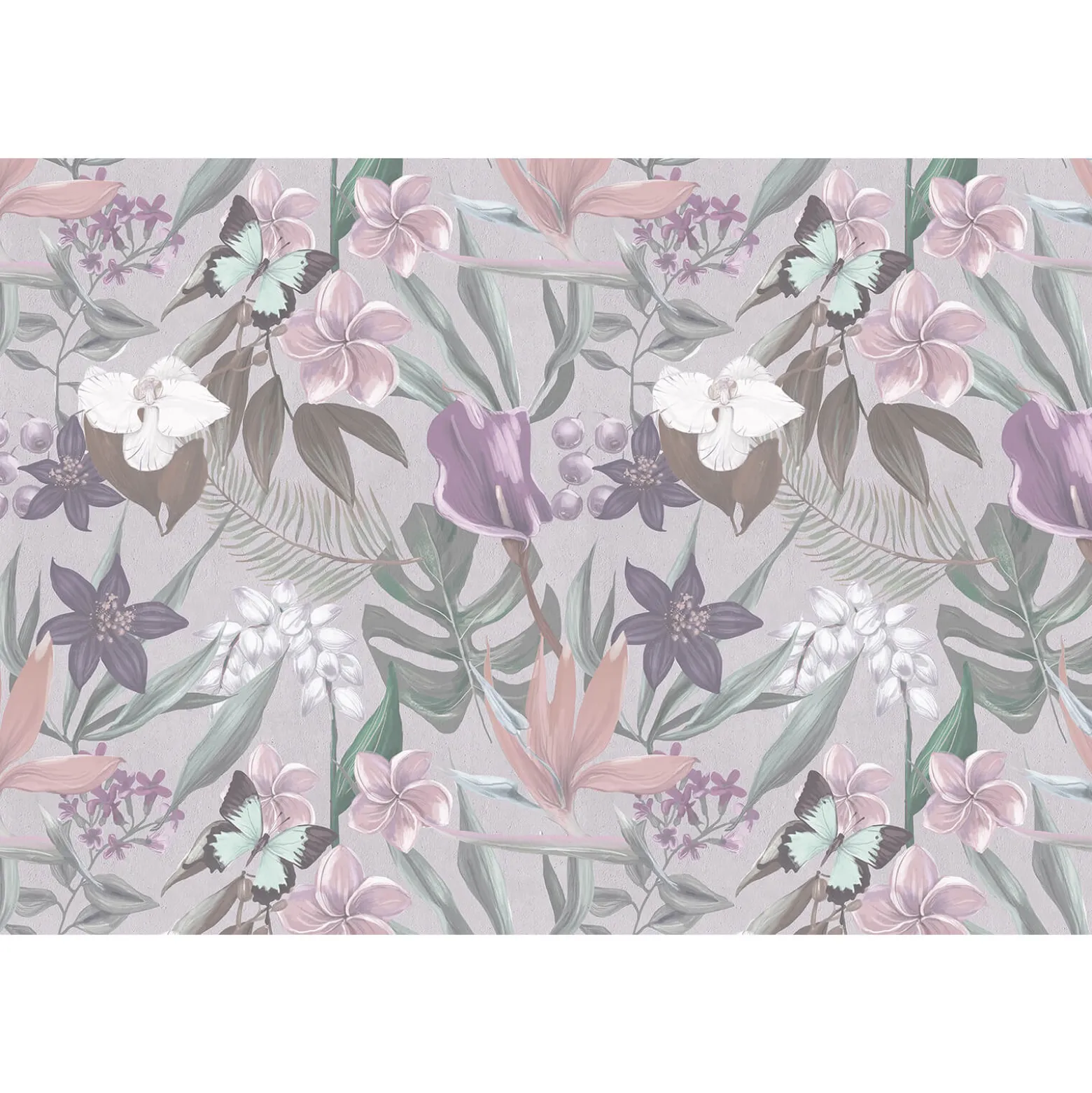 Fototapete Vlies Orchideen Blumen grau violett Premium