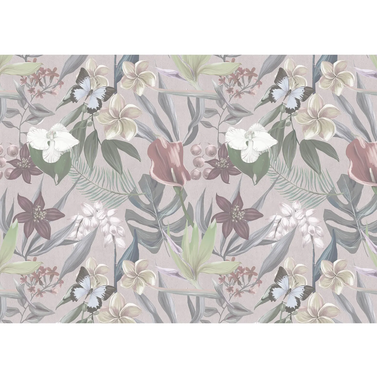 Fototapete Vlies Orchideen Blumen grau blau Premium