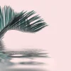 Fototapete Vlies Palm-Blatt Wasser rosa grün