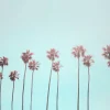 Fototapete Vlies Palmen Tropisch blau rosa