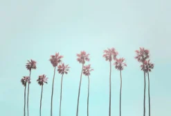Fototapete Vlies Palmen Tropisch blau rosa