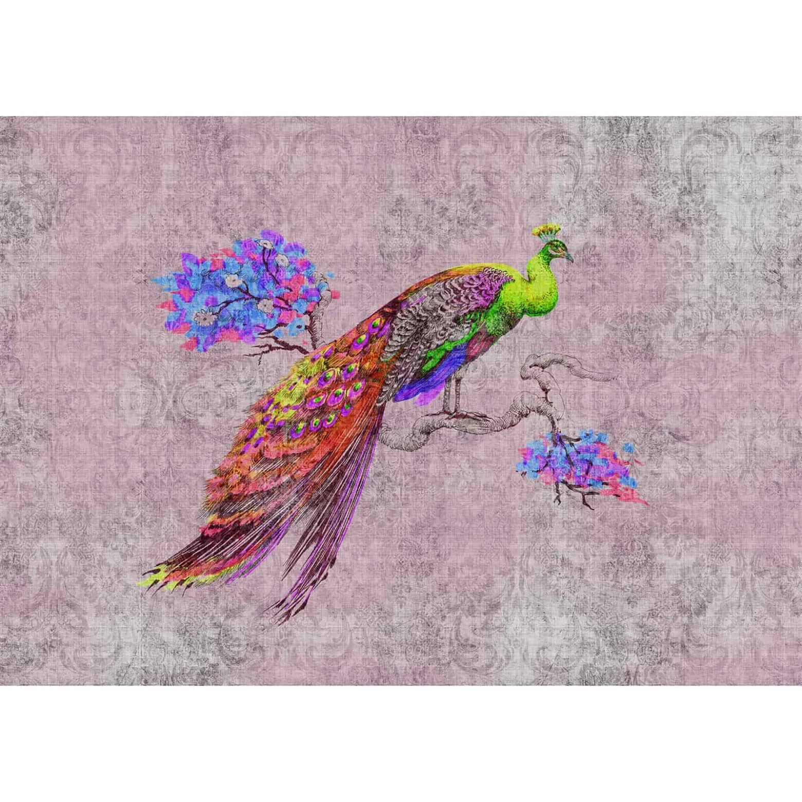 Fototapete Vlies Pfau Vintage grün rosa rot Premium