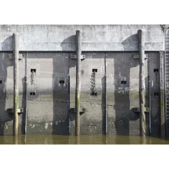 Fototapete Vlies Pier-Mauer Baumstämme grau