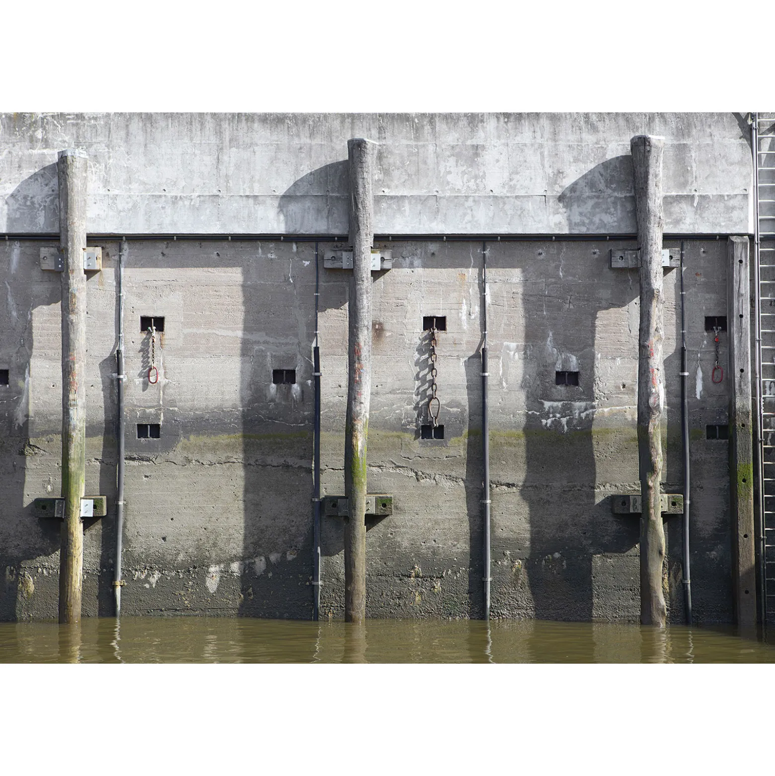 Fototapete Vlies Pier-Mauer Baumstämme grau