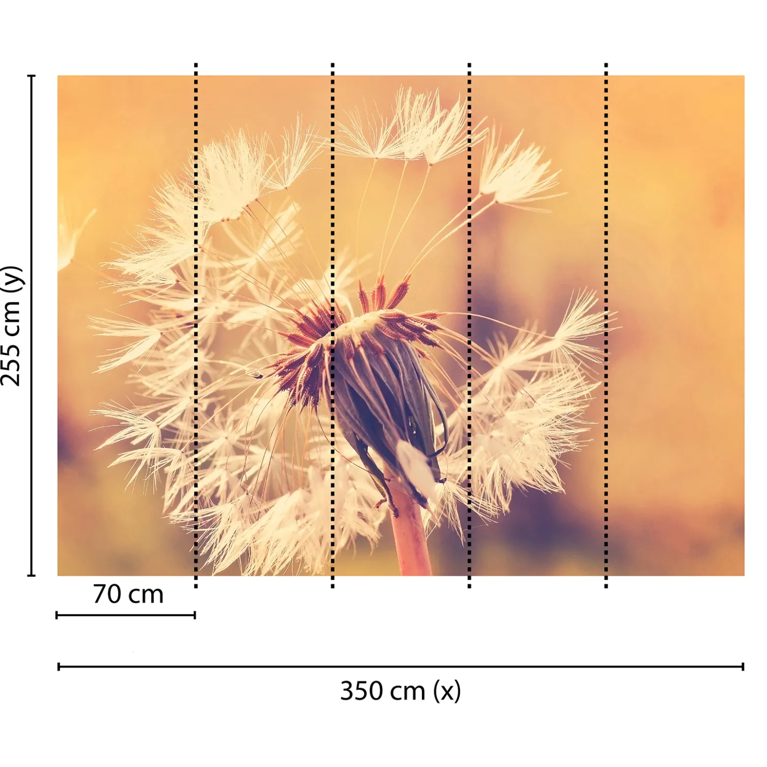 Fototapete Vlies Pusteblume Blüten Floral gelb weiß rosa