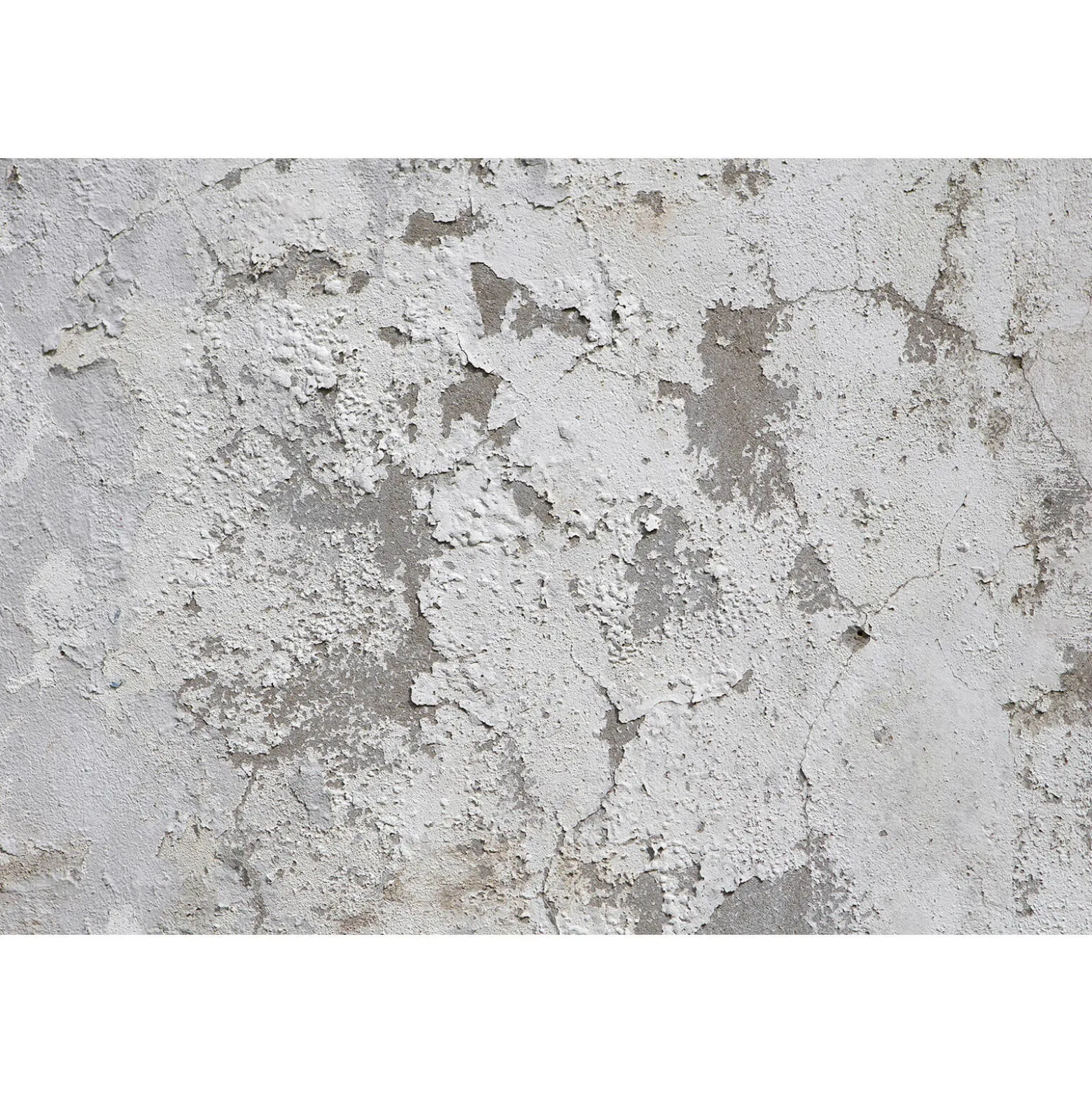 Fototapete Vlies Putz Mauer Shabby grau weiß