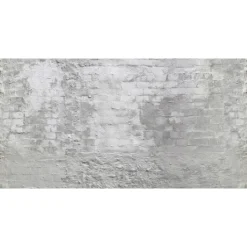 Fototapete Vlies Putz Steinwand grau silber