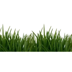 Fototapete Vlies Rasen Gras Floral grün weiß
