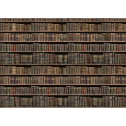 Fototapete Vlies Regal Bücherwand braun schwarz