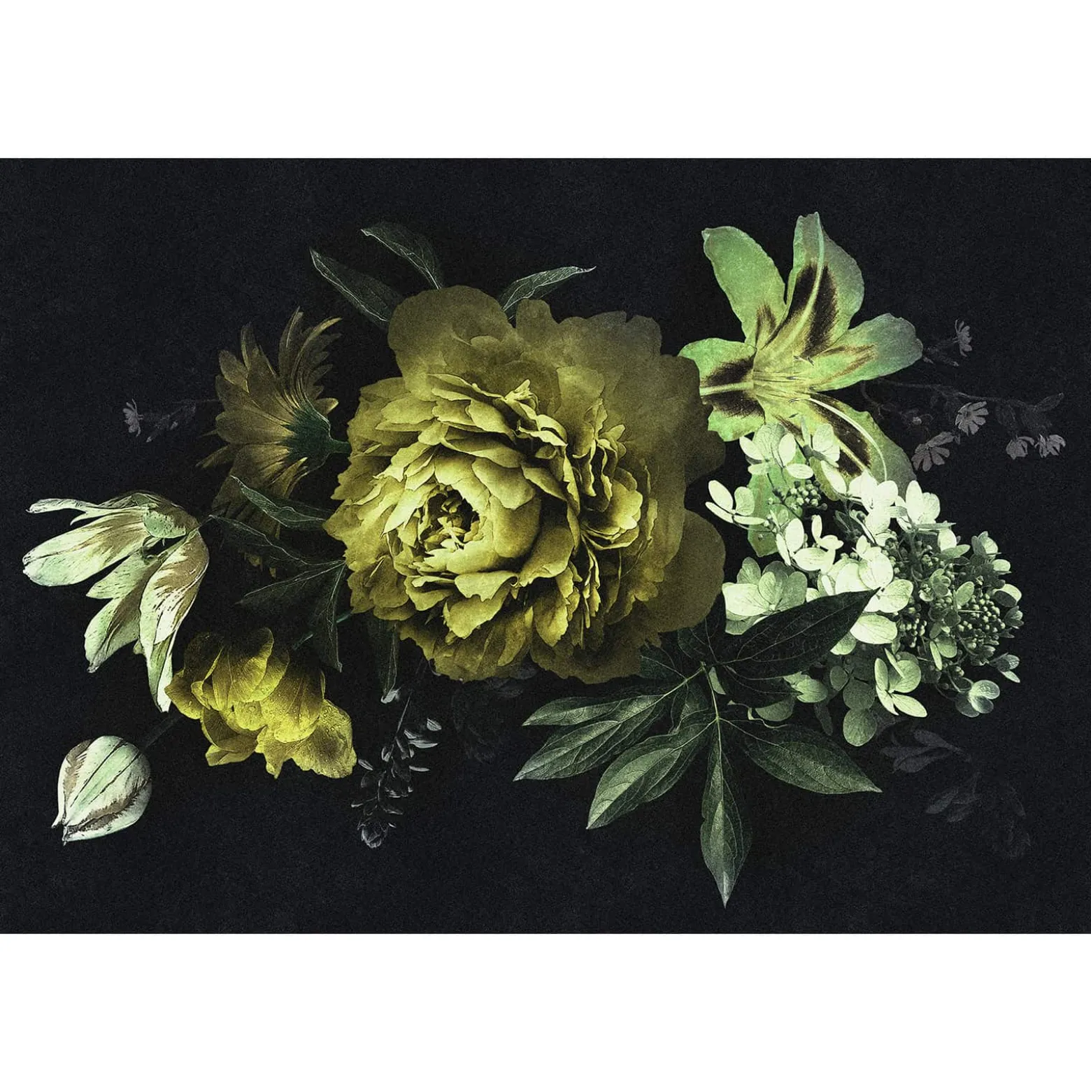 Fototapete Vlies Rose Blume gelb schwarz Premium